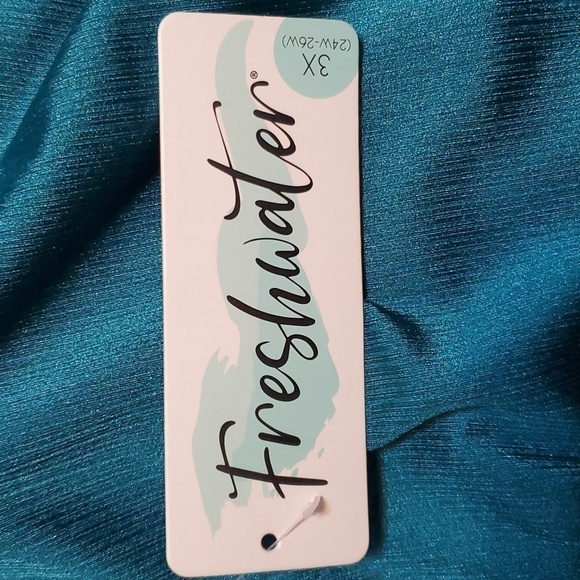 Freshwater Plus Size Hipster Bikini Bottoms Size 3X (24W-26W) - Picture 3 of 6